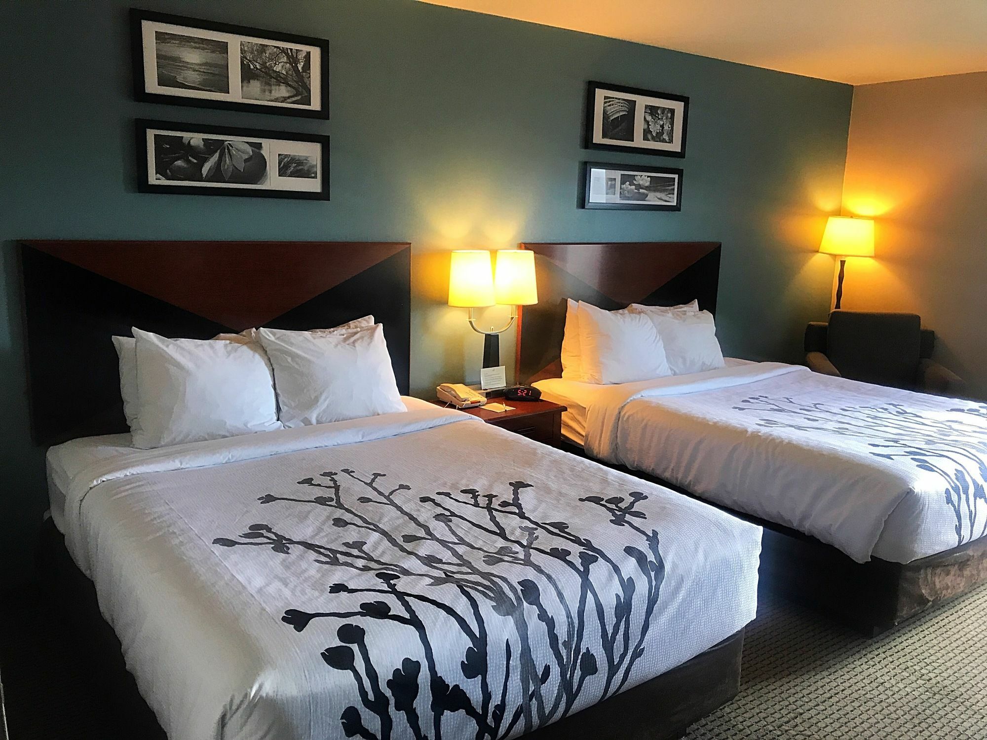 Sleep Inn & Suites Rapid City Bagian luar foto